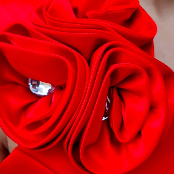 Knee length formal dress - Picture 2 of 2